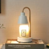 Decorative aroma lamp, wax melting lamp, candle melting lamp, household plug-in bedside lamp, Nordic style lamp, metal timed small table lamp details Picture