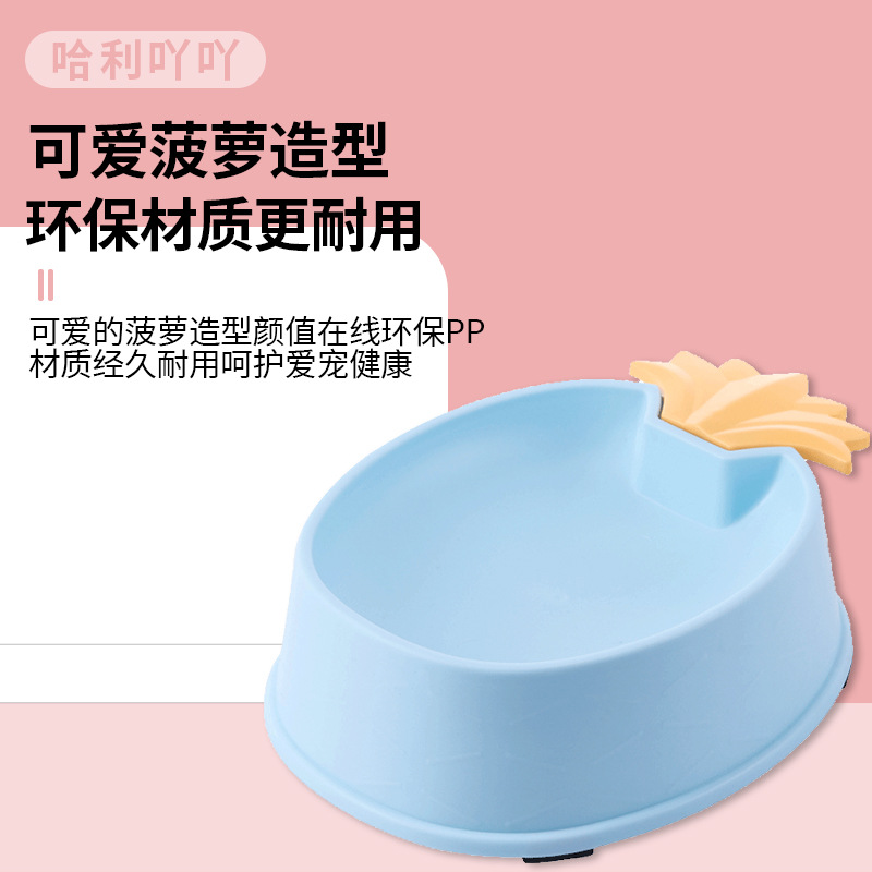 宠物卡通食具宠物碗宠物塑料碗宠物食盆宠物单碗宠物水碗水果碗