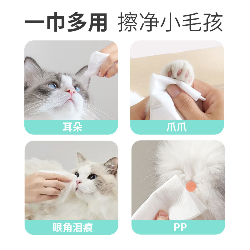 狗狗清洁美容工具实物图