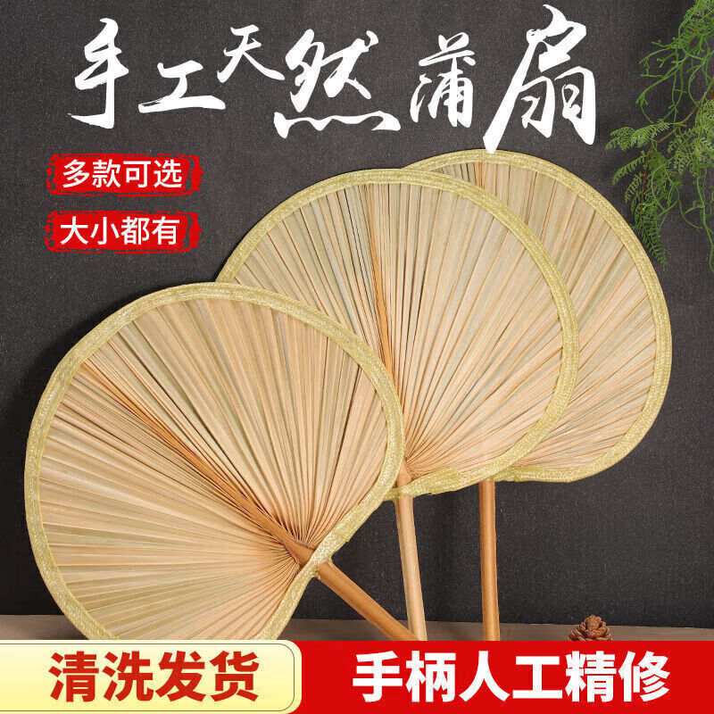 扇子大蒲扇芭蕉扇济公扇葵扇老人老式手工蒲草扇绘画扇粽叶烧烤扇