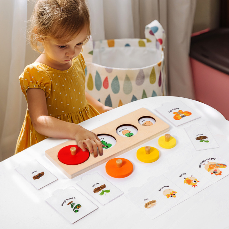 Montessori Children animal life cycle plant growth change puzzle cognitive matching 3-year old early education educational toy Montessori growth matching CPC CE EN71 export certificate Application Scenario