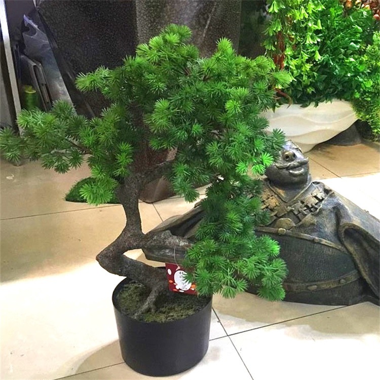 import细节图