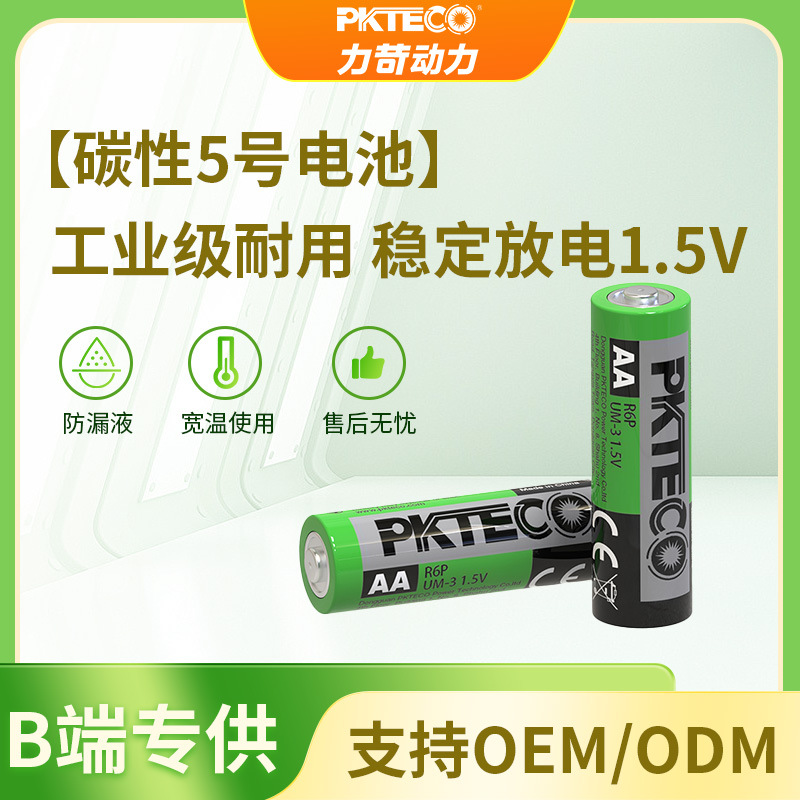 5号电池 工厂直销AA烟感挂钟泡泡机电动玩具碳性1.5v干电池五号