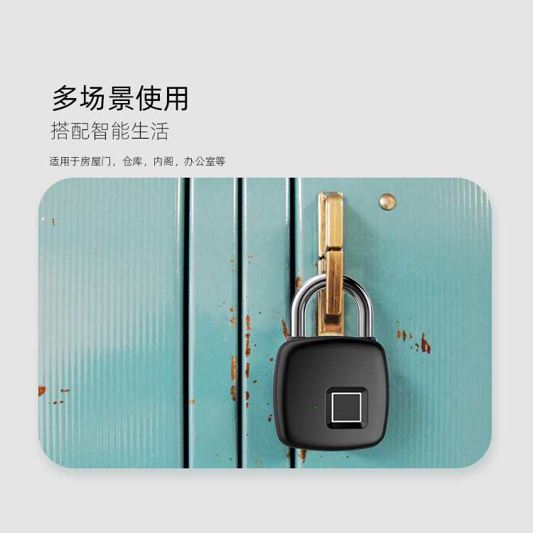 P30+ Smart Lock Home anti-theft door lock Specification image