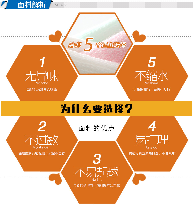【精典泰迪】产品图