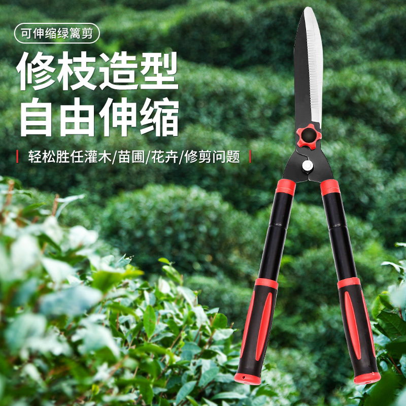 Garden Flowers And Trees Pruning Hedge Shears Garden Greening Flat Pruning Hedge Pruning Branches