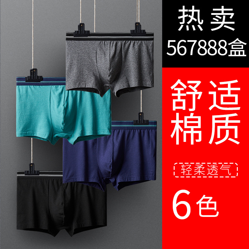 Bragas de hombre boxers de algodón de hombre boxers de algodón xinjiang verano slim transpirable 100% algodón pantalones cortos cabeza details Picture