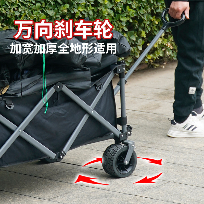 其他分类实物图
