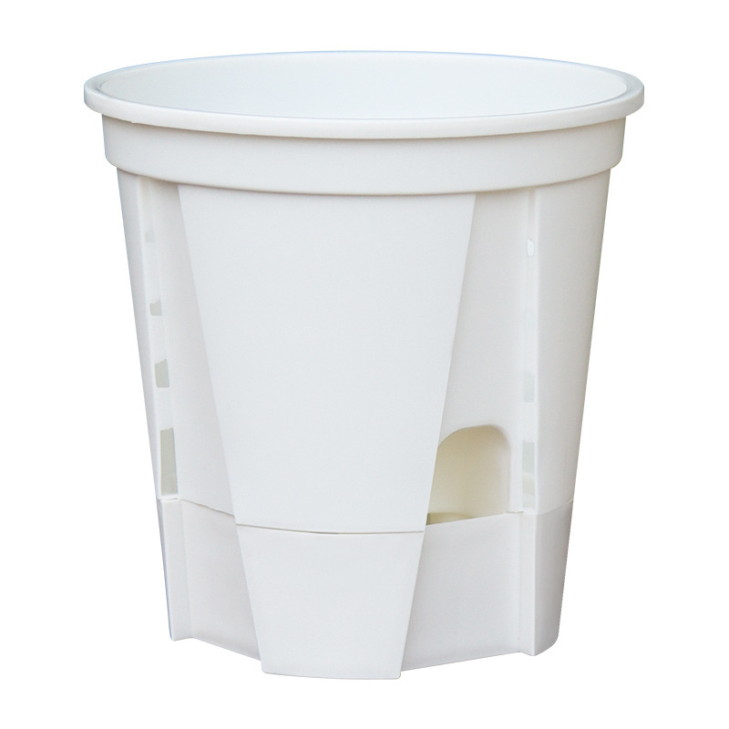 import白底实物图