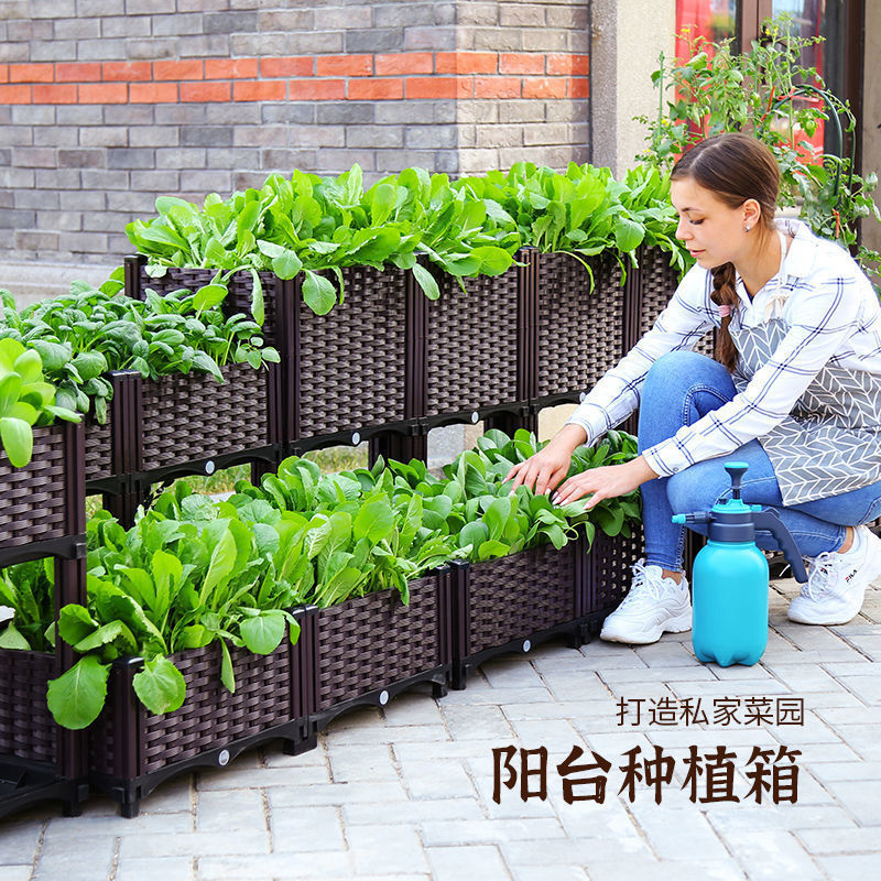阳台种菜种植箱蔬菜长方形楼顶塑料花盆
