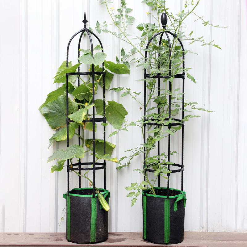 Climbing frame, European-style flower stand, spliced garden flower pillar, outdoor flower stand Application Scenario