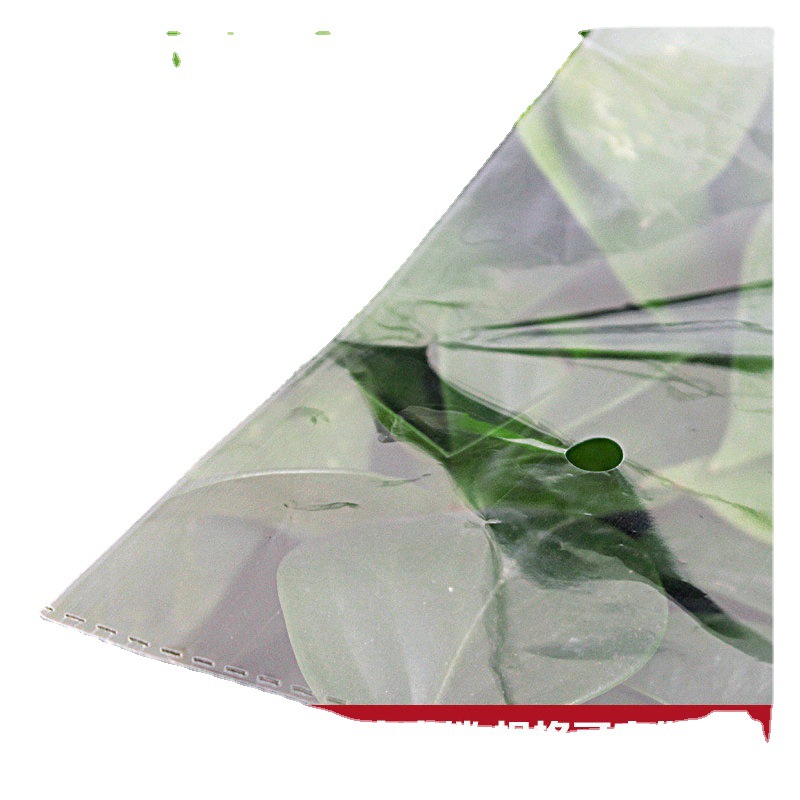 Manufacturers Supply Pe Bags Transparent Plastic Bags Self-Adhesive Self-Sealing Bags Spot Wholesale Item Picture