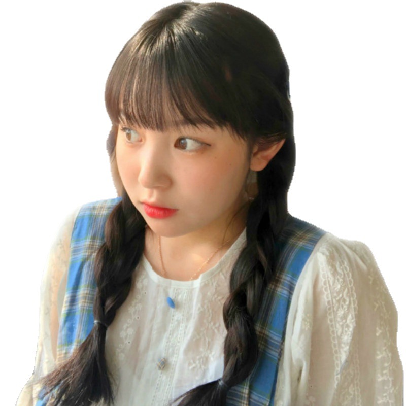 Double ponytail wig, long straight hair wig for women, braid, three-strand braid, stage performance wig, head cover Item Picture