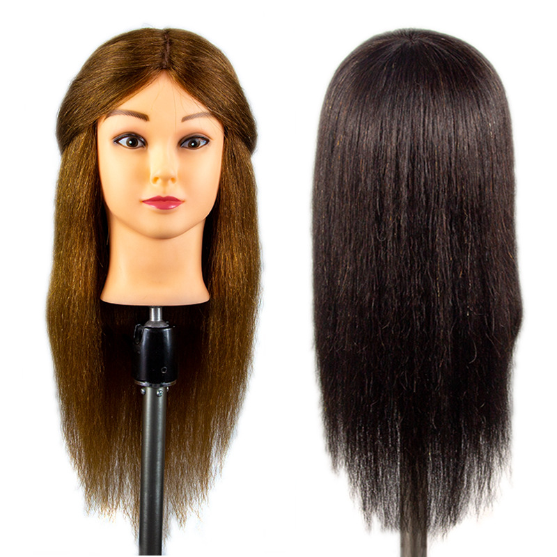 Cabello real modelo de cabeza cabeza de aprendizaje peluca modelo de cabeza trenza de pelo corte de pelo planchado práctica de rollo de pelo real cabeza de muñeca fabricante al por mayor