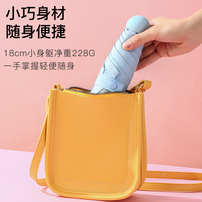 雨伞/自动伞/雨衣雨伞/自动折叠超大伞/星宝伞产品图