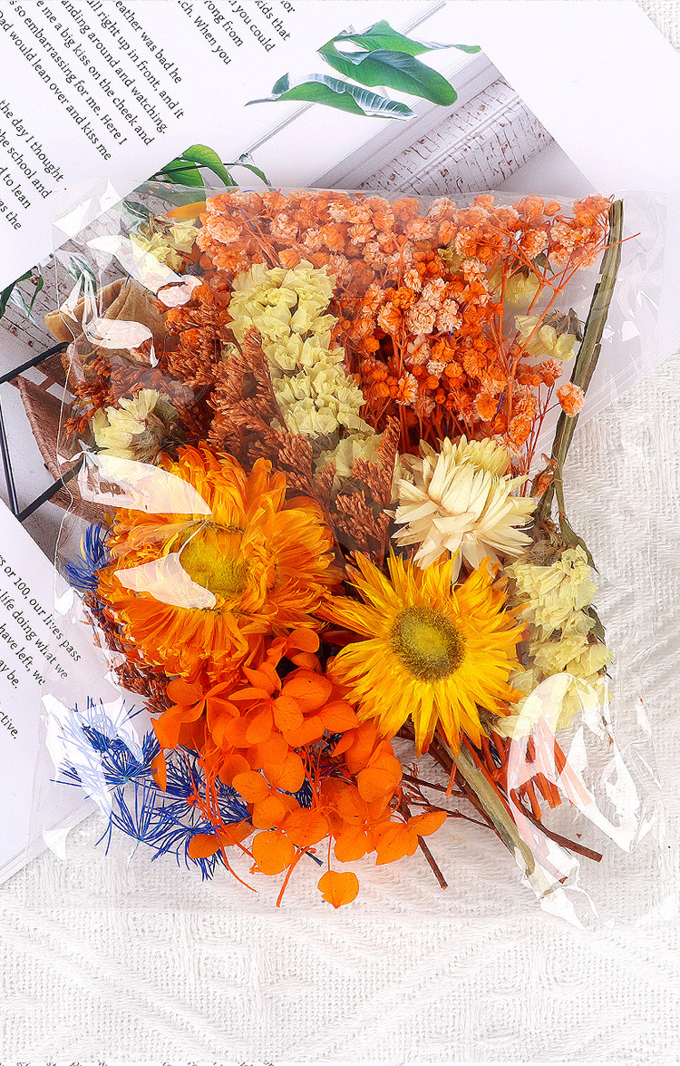 永生花天然干花混合压花仿真花手工自制团扇滴胶浮游花材diy材料详情7