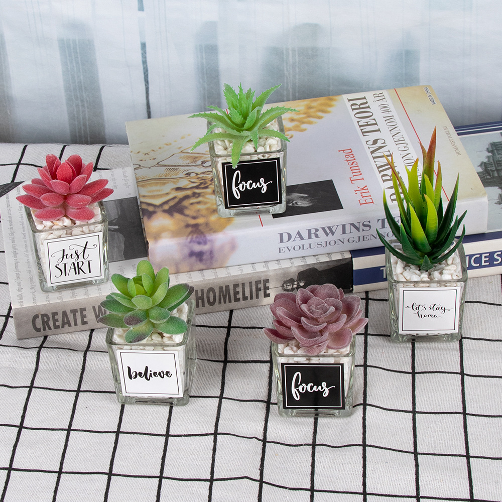 Cross-border home decoration mini potted plant combination, desktop glass stickers, simulated succulent bonsai ornaments, small green plants Application Scenario