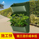 围挡围蔽绿植墙种植盒垂直立体绿化植物墙花盆容器边坡护坡绿化盆图