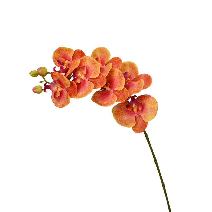 蝴蝶兰仿真花/假花/PV手感仿真蝴蝶兰白底实物图