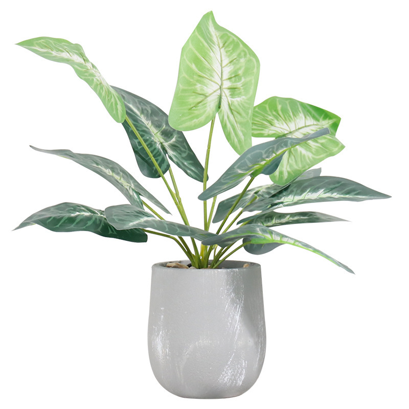 Nordic cement pot turtle-back leaf artificial plant potted plant for home TV cabinet desktop decoration artificial plant Item Picture