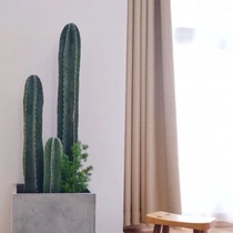 Large cactus iron column meaty to feed imbecile column ins Nordic wind desert garden plants