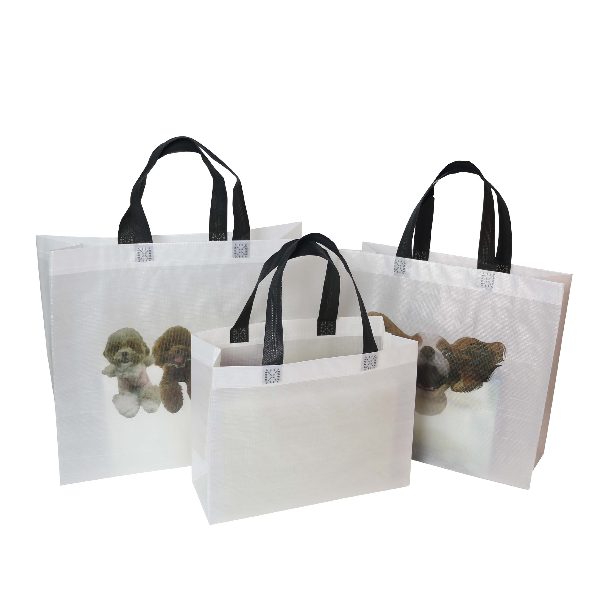 Transparent plastic pp woven handbag, portable and durable shopping bag, three-dimensional bag, snake skin advertising bag, can be printed with LOGO Item Picture
