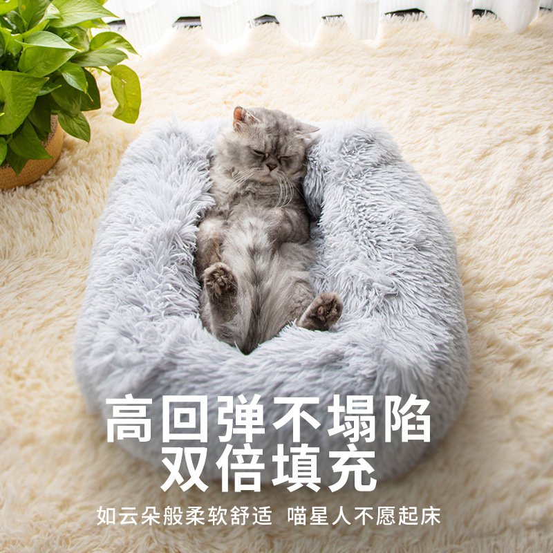 狗狗包、箱实物图