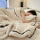 冬季A类金龟绒/单层毛毯/贝贝绒/卧室加厚保暖/多功能双面绒盖毯/批发产品图