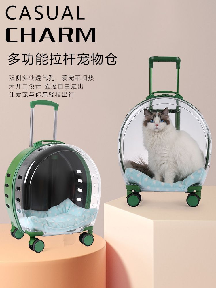 宠物自背包实物图