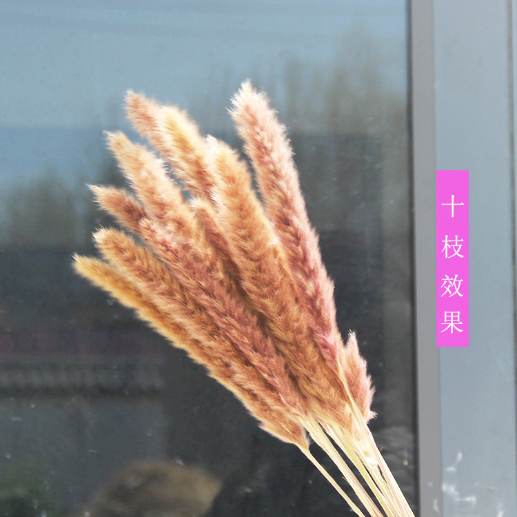 【厂家直销】/仿真花/批发产品图