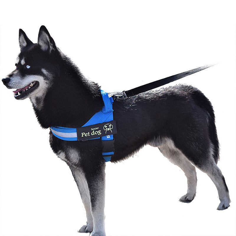T vest type k9 Dog chest and back Golden Retriever Labrador dog leash Medium-sized large dog walking chest and back leash details Picture