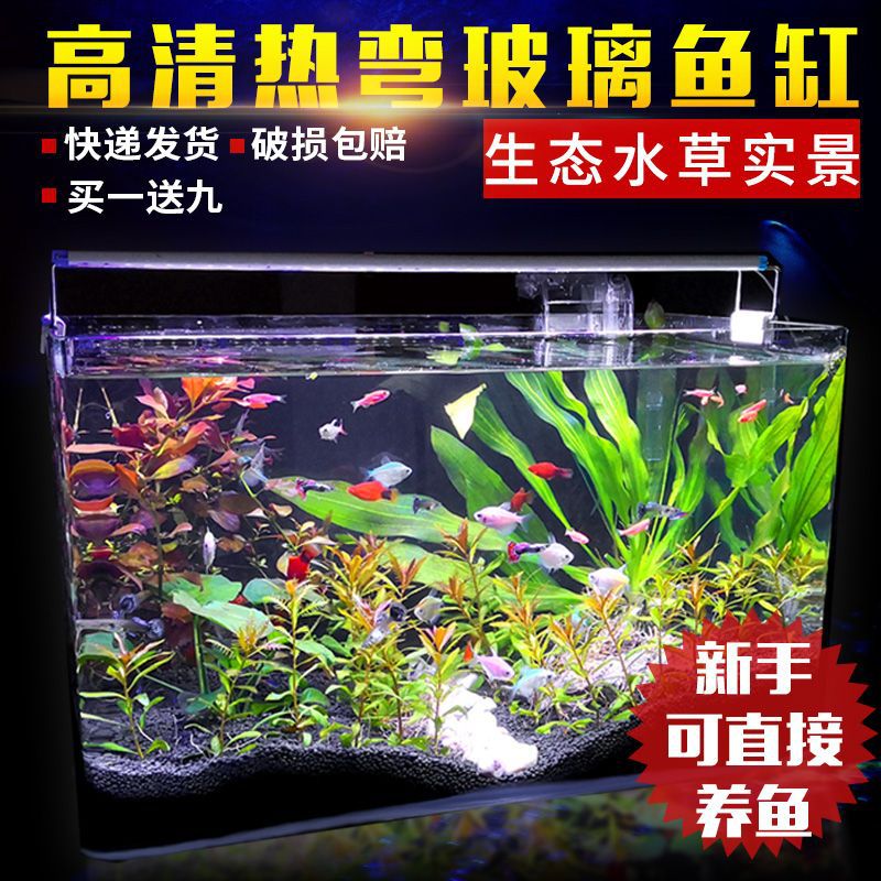 import细节图