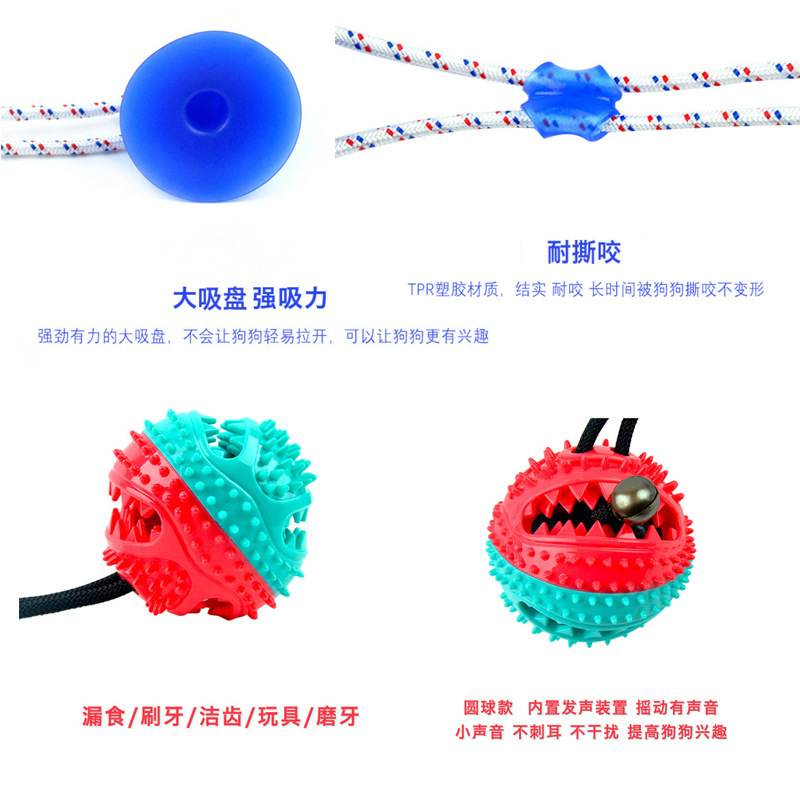 喂食器实物图