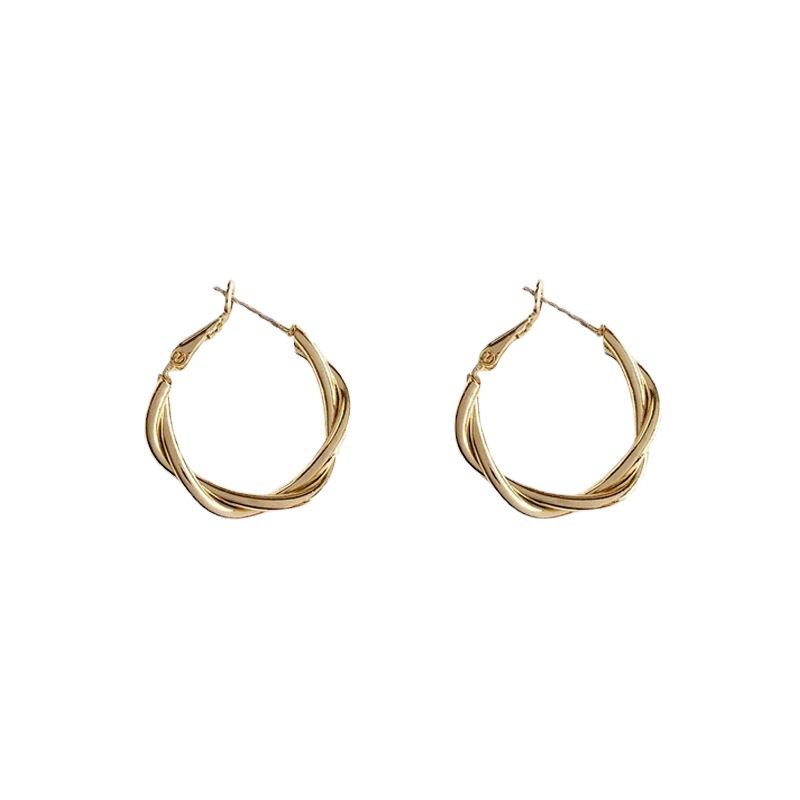 Vintage Simple Hoop Earrings 2023 New Fashion Temperament Fashion Earrings Light Luxury Cross-Border Explosive Earrings Wholesale Item Picture