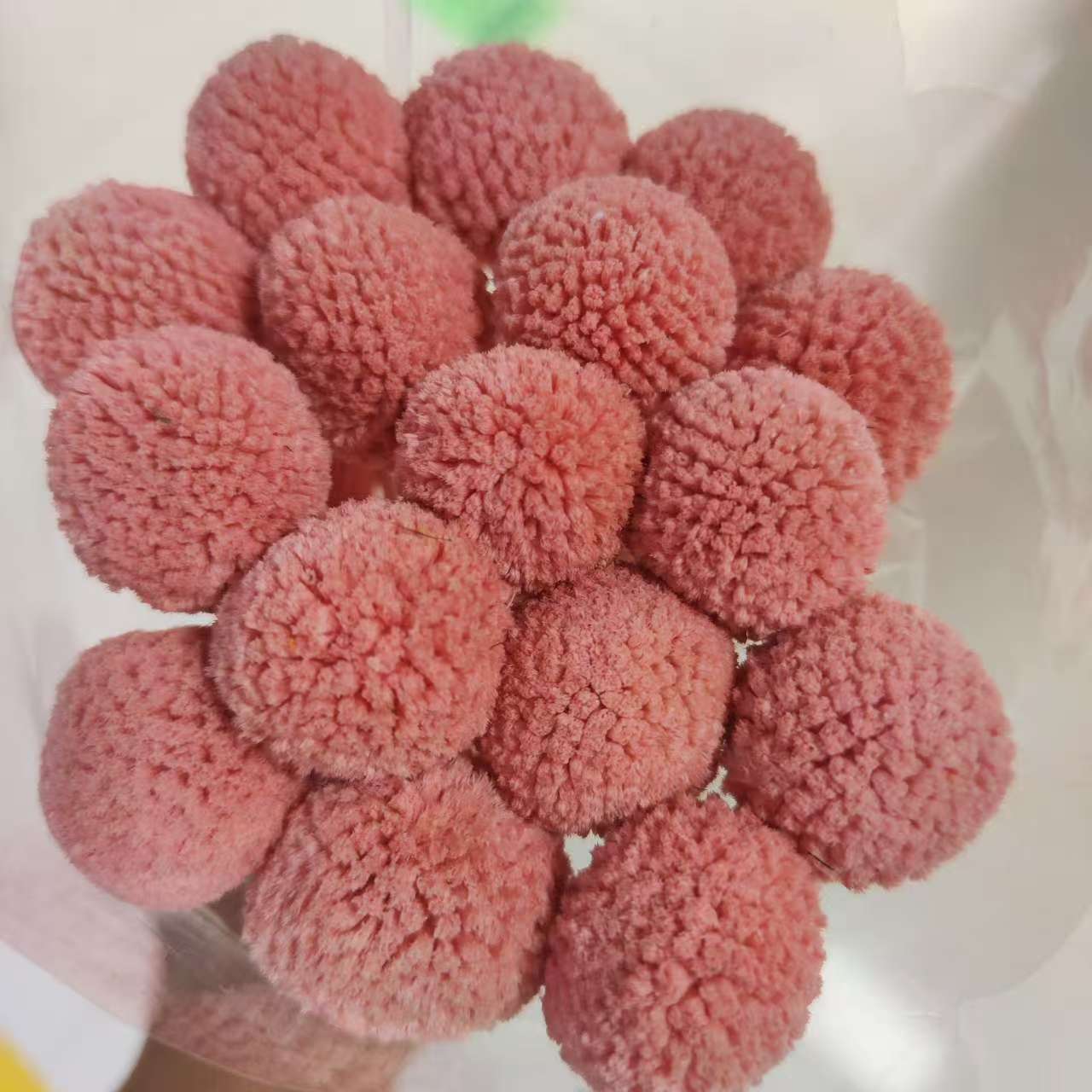 وييونان، الكرة الذهبية الملونة، أزهار الأبدية details Picture