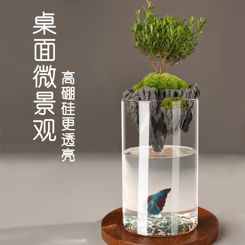 简约花瓶中古高级感玻璃瓶制品微景观生态瓶水培透明植物玻璃花瓶