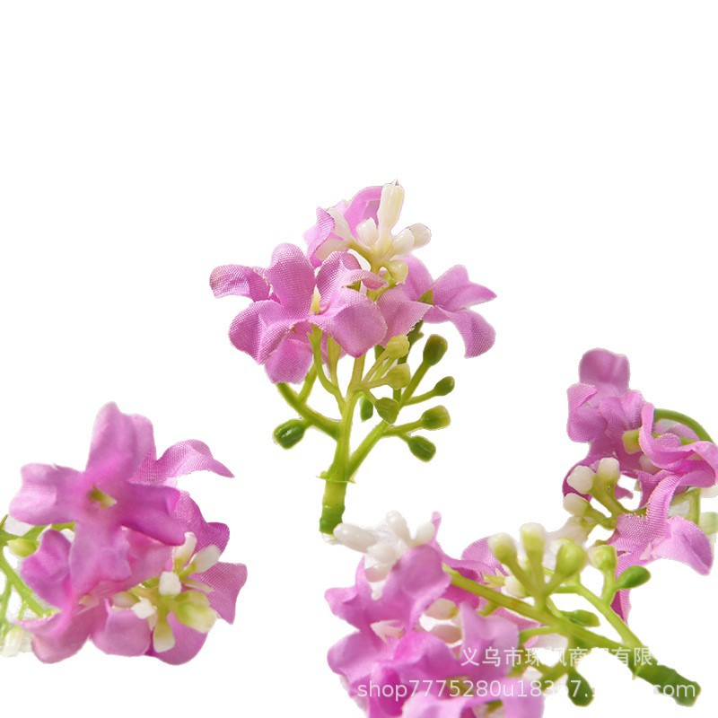 import白底实物图