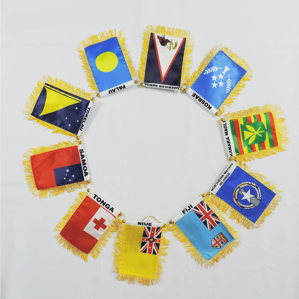 pVC旗杆/刀旗/智利国旗/情趣内衣国旗/丹麦国旗产品图