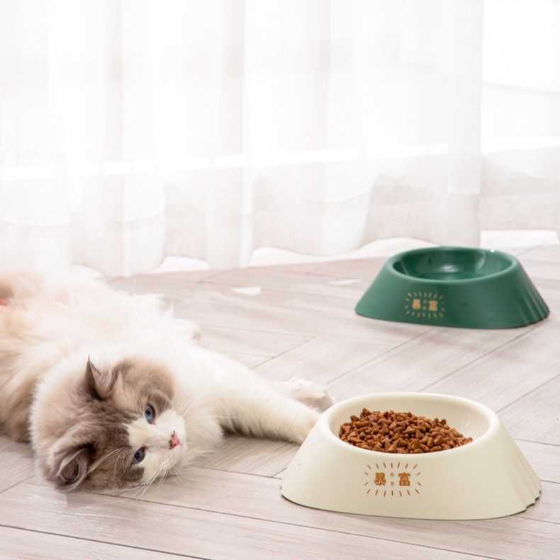 户外玩具/猫玩具/宠物窝/宠物奶瓶/自动感应饮水机宠物产品图