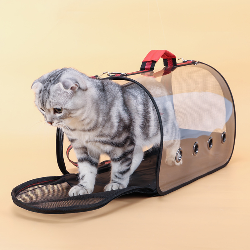 猫猫包、箱实物图
