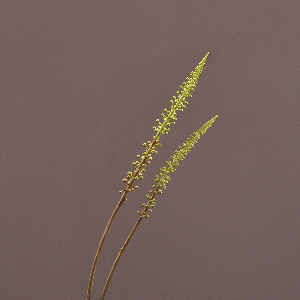 东篱源头厂家现货直销批发仿真花假花狐尾果家居装饰餐桌样板间摄影插花摆件一件批发