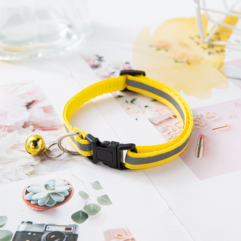 The cat buckle collar pulls the collar Application Scenario