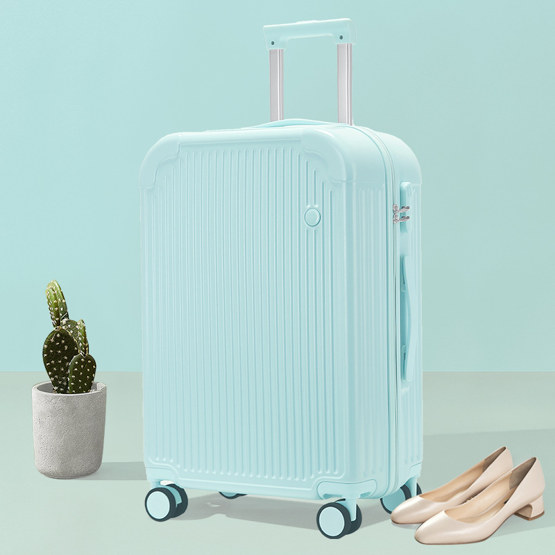 import白底实物图