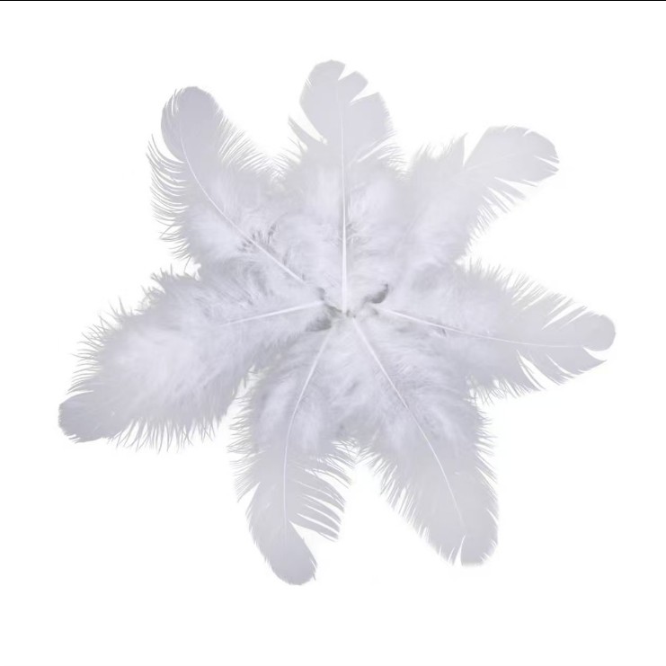 羽毛、羽绒实物图