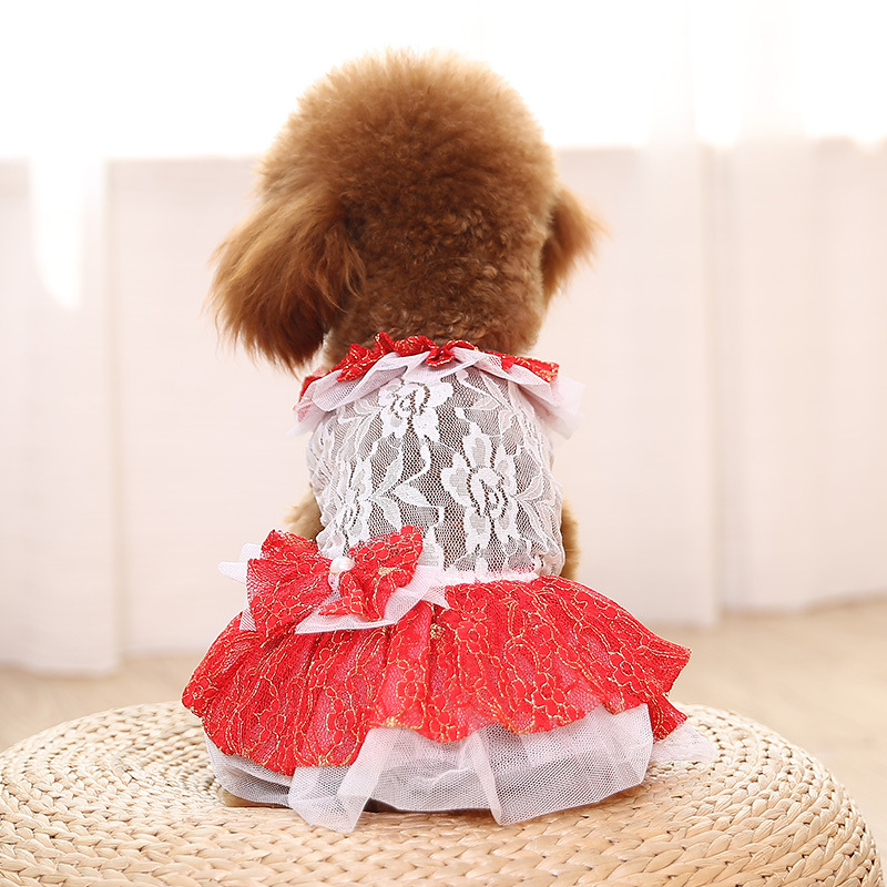 Pet Skirt Summer thin Cool cat skirt hollowed out lace cute dog clothing Pet clothing clothing