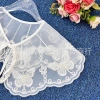 Embroidered butterfly transparent mesh collar clothing accessories Application Scenario