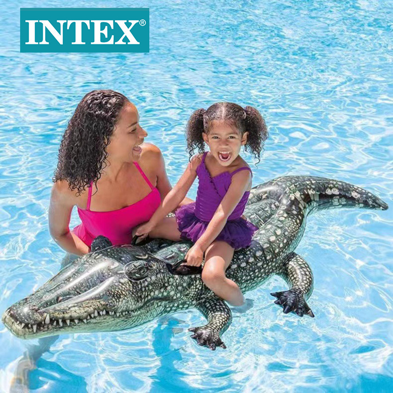 وجاء في الوثيقة INTEX57551 أن التمساح يجلس على ظهر بركة سباحة على طافية PVC على شاطئ حوض السباحة، ويركب على جملة على مقبض مضغوط Specification image