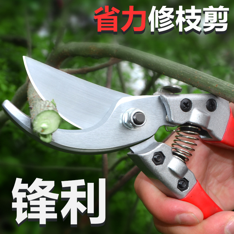 园艺工具果树剪树枝剪刀家用葡萄藤果枝剪园林花木盆景省力修枝剪