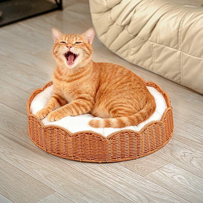 猫猫窝、笼实物图