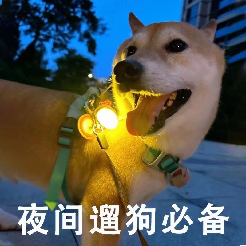 狗狗夜间出行防走失遛狗专用发光吊坠闪光挂坠宠物配饰吊牌夜光灯